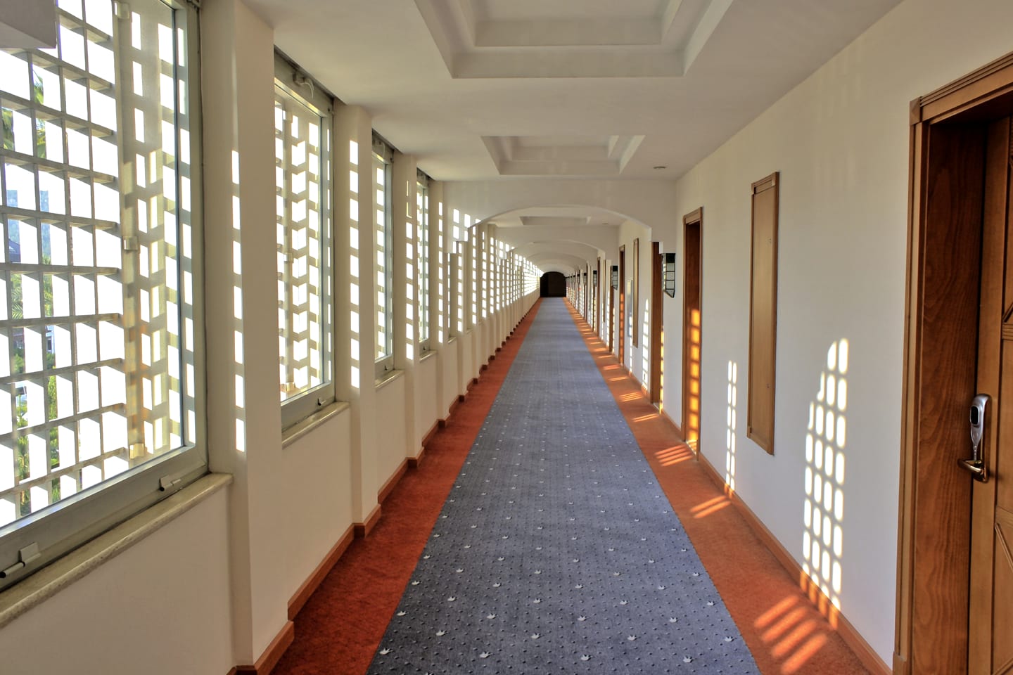 Carpet deep-cleaned, free of dust and debris